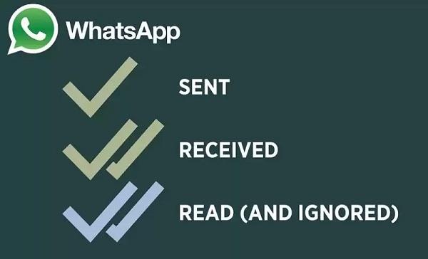 gray and blue marks whatsapp