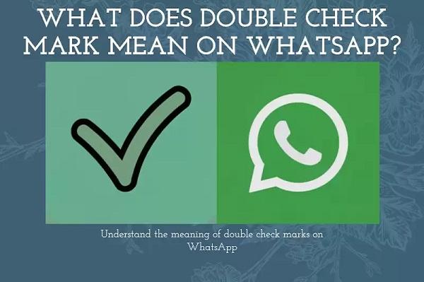 what does double check mark mean on whatsapp