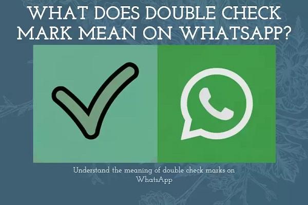 What the Check Marks Mean on WhatsApp for Message Status