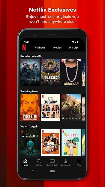 netflix mirror free