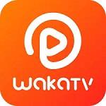 Icon Waka TV APK 2024